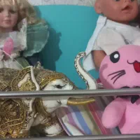 کمد بچه|اسباب و اثاث بچه|گرگان, |دیوار