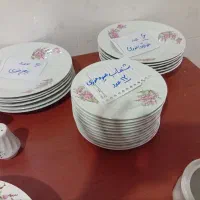 سرویس استیل و  چینی|ظروف سرو و پذیرایی|شیراز, گل سرخ|دیوار