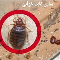 سم‌پاشی ساس کنه کک گال مایت تضمینی|خدمات نظافت|تهران, بلوار کشاورز|دیوار