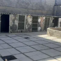 سوله وپانسون سگ