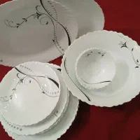 ظروف پذیرایی