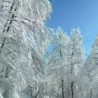 آبدارچی ونظافت