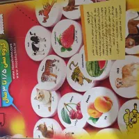 هوش چین یک تکه