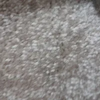 فروش موکت پرز دار به رنگ کرمی روشن