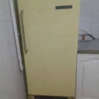 یخچال ارج الکتریک اصل