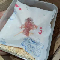 فروش تخم و جوجه سرلاکی طوطی راهب|پرنده|نیشابور, شهرک اندیشه|دیوار