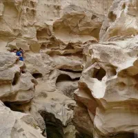 تور گشت جزیره هفتگانه قشم با خودرو هایلوکس|تور و چارتر|قشم, |دیوار