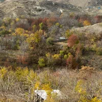 باغچه ۴۰۰ متری با سوییت نوساز وردیج|فروش خانه و ویلا|کن, |دیوار