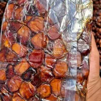 خرما خاصویی|خوردنی و آشامیدنی|شیراز, فضل‌آباد|دیوار