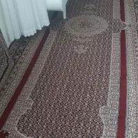 قالی فروشی|فرش|پاوه, |دیوار