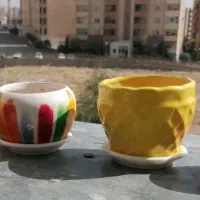 گلدان|گل و گیاه طبیعی|صدرا-فارس, فاز ۱|دیوار