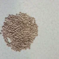 عدس درشت درجه ۱