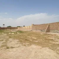 دامداری و مرغداری بر جاده آسفالت  سند ۶ دانگ|فروش دفتر صنعتی، کشاورزی، تجاری|ورامین, ورامین|دیوار