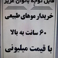 موهای طبیعی و رنگی
