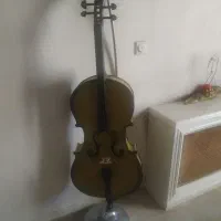 ویولنسل تزیینی