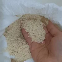 برنج هاشمی|خوردنی و آشامیدنی|محمدشهر, محمدشهر|دیوار