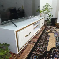 زیر تلویزیون