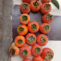 خرمالوی تازه چین