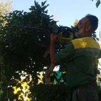 خدمات|خدمات باغبانی و درختکاری|اراک, |دیوار