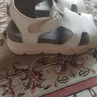صندل درحدنو