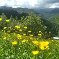 فروش ویلایی/تک خواب/گردنه حیران|فروش خانه و ویلا|آستارا, |دیوار