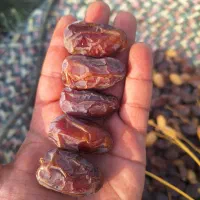 خرما|خوردنی و آشامیدنی|وحدتیه, |دیوار