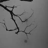 راهنمایی،سرمایه، کار و شراکت و درآمد