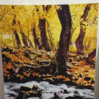 باهم 300|مجسمه، تندیس، ماکت|اهواز, کوی جواهری|دیوار