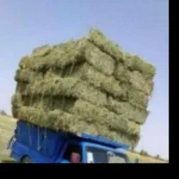 فروش‌یه‌تن‌نیم‌یونجه