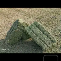 پرس یونجه ویونجه پودری|حیوانات مزرعه|سیرجان, |دیوار