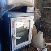 دستگاه جوجه کشی اسکندری