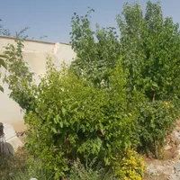 باغچه  با ۶۰تادر خت میوه با سهمیه آب و با سوییت|فروش خانه و ویلا|تهران, افسریه|دیوار
