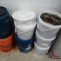 خرمای کبکاب بسته بندی شده شیره زده درجه یک|خوردنی و آشامیدنی|آبپخش, |دیوار