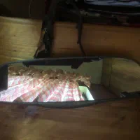 مانبتور اینه ای با دوربین