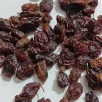 کشمش ابگیری