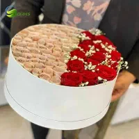 گل های روبانی