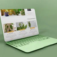 جذب نیرو برای طراحی سایت، تولید محتوا و اینستاگرام|استخدام رایانه و فناوری اطلاعات|مشهد, ده دی|دیوار