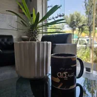 واحد 145 متری بر بلوار امام علی(ولایت)