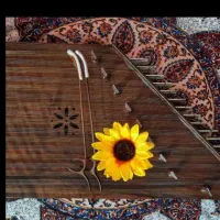 آموزش سنتور نوازی خانم ها