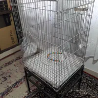 قفس پرنده