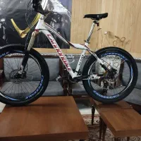 فروش انواع دوچرخه های دسته دو اروپایی