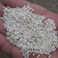 برنج حسنی|خوردنی و آشامیدنی|صومعهسرا, |دیوار