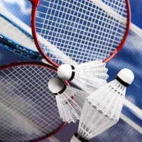 پارتنر بدمینتون