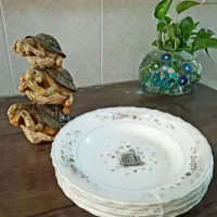 ارکوپال ویکتوریا فرانسه،خورشت خوری فنجان دیس|ظروف سرو و پذیرایی|مرند, |دیوار