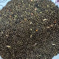 قره ماش بوجاری شده