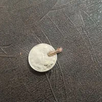 سکه قدیمی|کلکسیون سکه، تمبر، اسکناس|شهرکرد, |دیوار