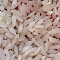 برنج مخصوص قاطی با کامفیروزی عنبر و چمپا