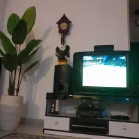 تلویزیون 29 اینچ با کنترل فابریک|تلویزیون و پروژکتور|اردبیل, |دیوار