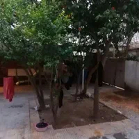 خوابگاه دخترانه|اجارهٔ کوتاه‌مدت آپارتمان و سوئیت|شیراز, عفیف‌آباد|دیوار