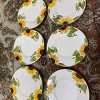 ظرف پذیرایی گل افتابگردون